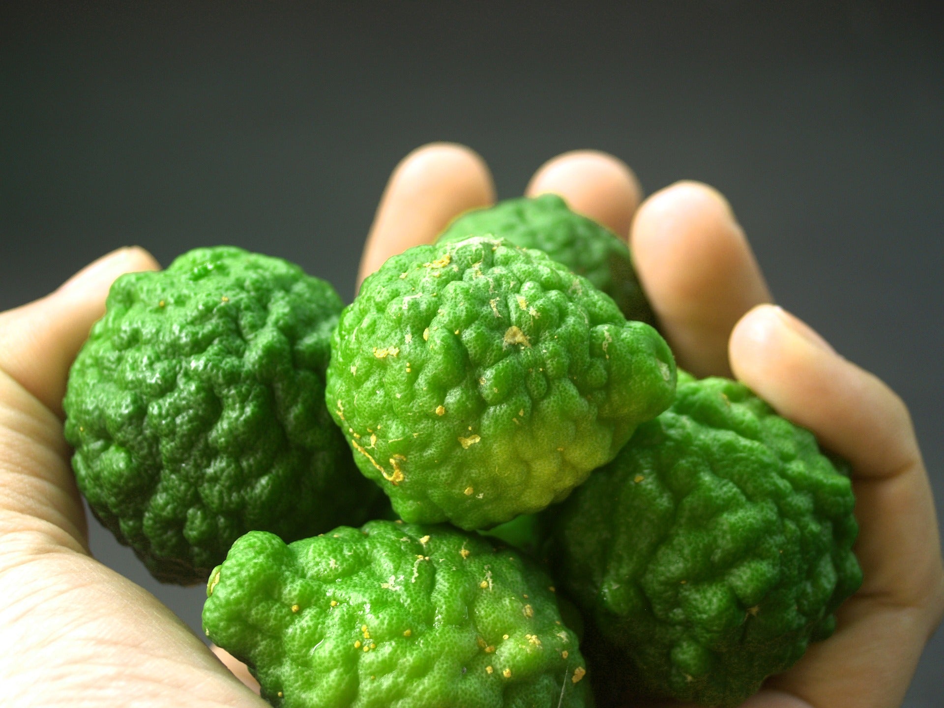 Scent Profile: Bergamot