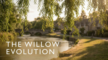 Sunlight filters through William Morris style willow branches over an English river, showing his wallpaper inspiration.