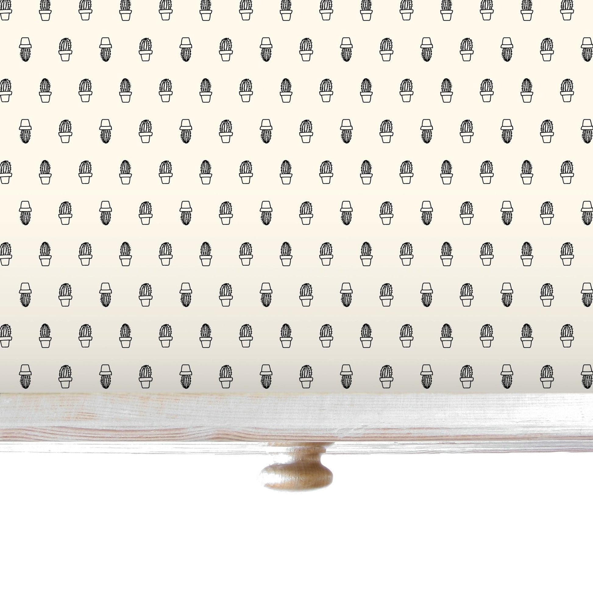 CACTUS Wipe Clean & Unscented Drawer Liners - Wipe Clean Drawer Liners - The Master Herbalist