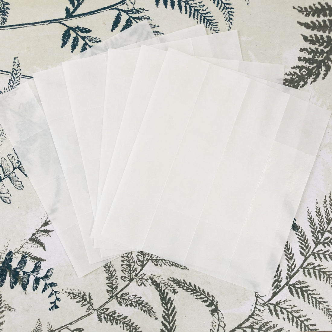 THE MASTER HERBALIST Adhesive Dots Adhesive Sticky Dots | Designed to Hold Drawer Liners In Place