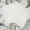 THE MASTER HERBALIST Adhesive Dots Adhesive Sticky Dots | Designed to Hold Drawer Liners In Place
