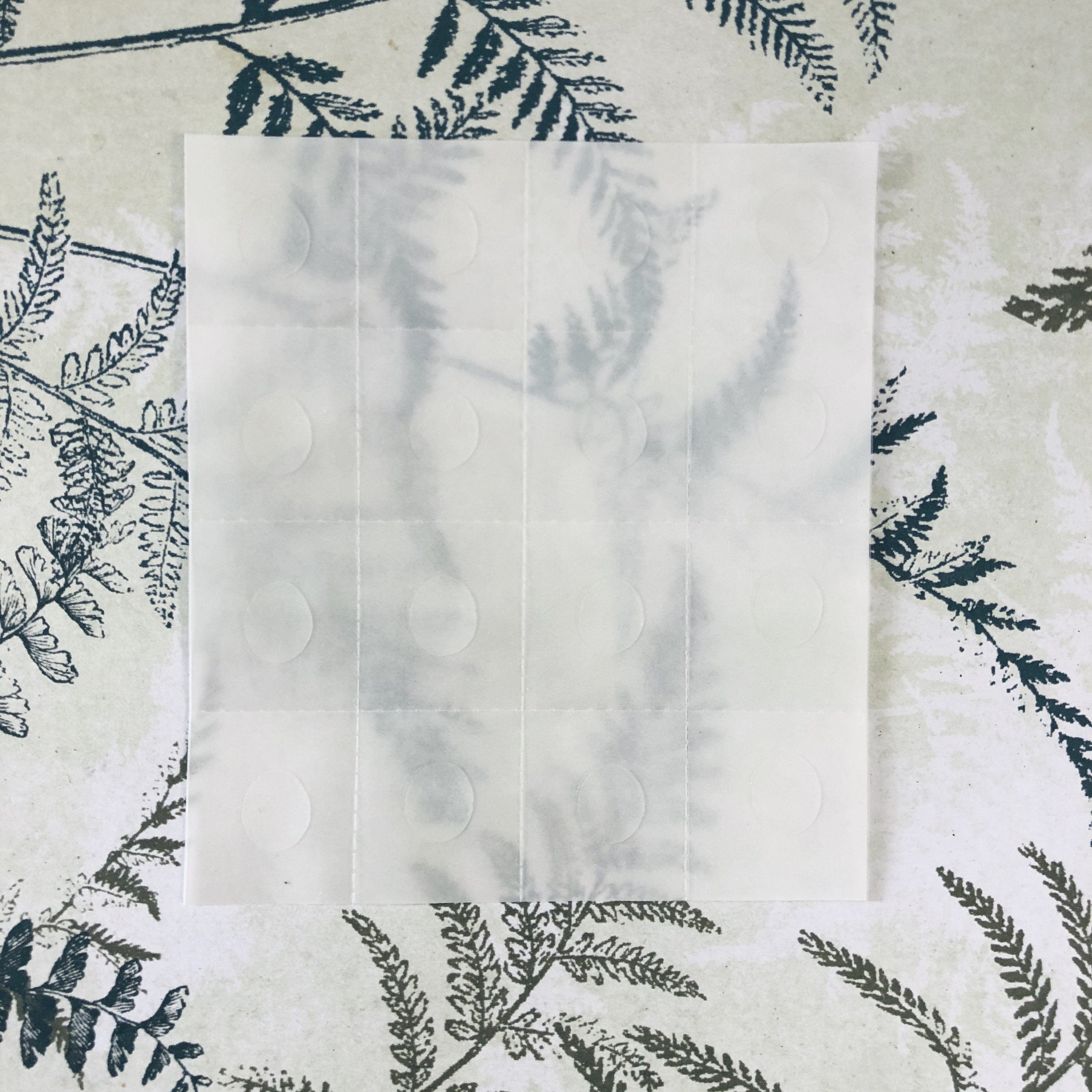 THE MASTER HERBALIST Adhesive Dots Adhesive Sticky Dots | Designed to Hold Drawer Liners In Place